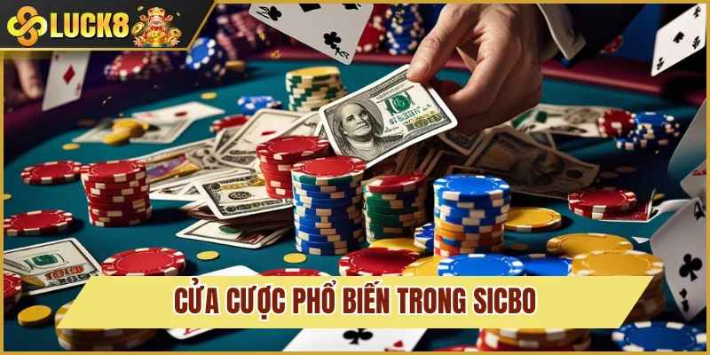 Cửa cược phổ biến cho người chơi Sicbo