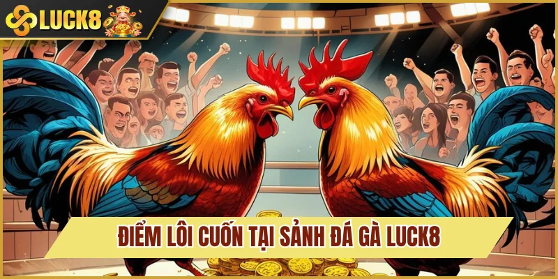 Đá Gà Luck8 2 Điều khiến sảnh đá gà được mê mẩn