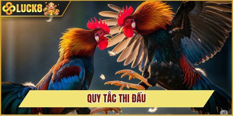 Đá Gà C2 Là Gì? Trải Nghiệm Cá Cược Tại Nhà Cái Luck8 5 quy tắc cược đá gà C2